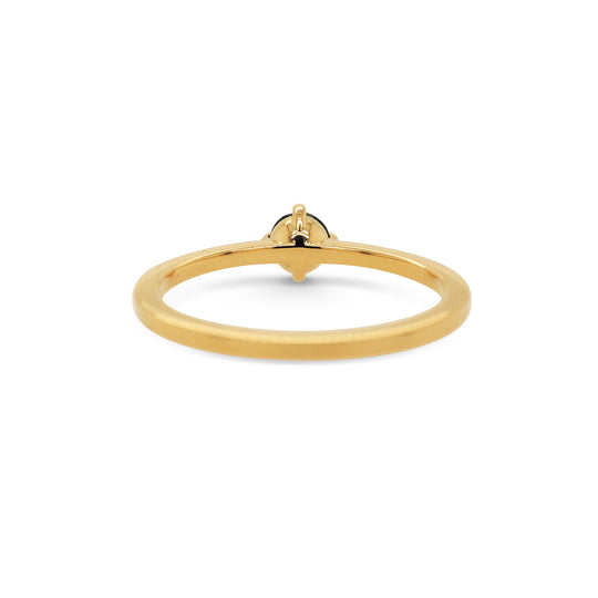 Polaris Ring